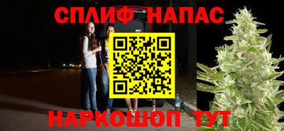 Альфа ПВП Можайск