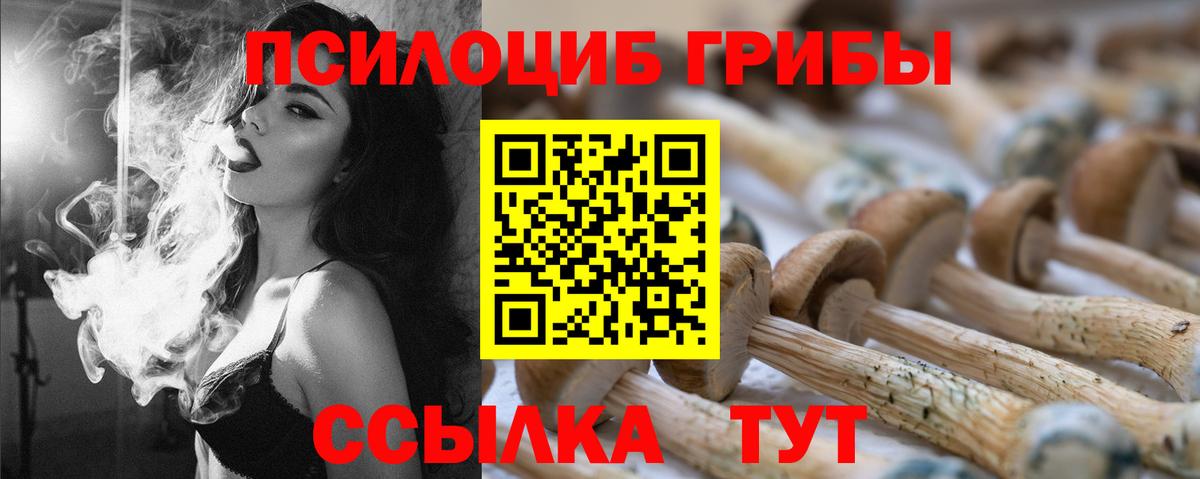 купить наркотик  Псилоцибиновые грибы Psilocybine cubensis  Вход с VPN  Будённовск 